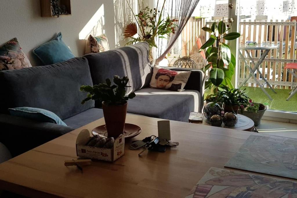 Appartement Complet Et Parking Protege La Teste-de-Buch Zewnętrze zdjęcie